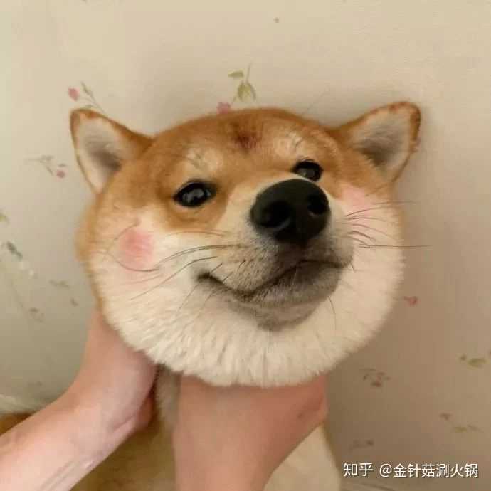 爸爸对我的网名头像发起了进攻,家长中意的到底是什么