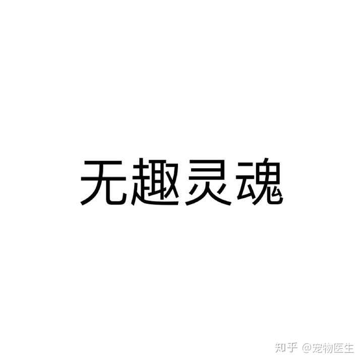 2019年已接近尾声作为学生的你如何总结这一年的学习和生活