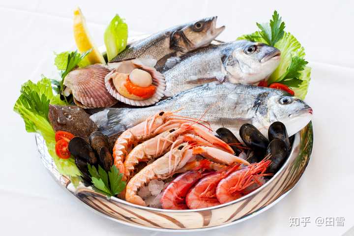 【鱼】:鱼虾贝等水产类