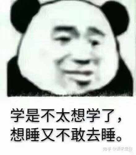有什么适合期末考试的表情包吗?