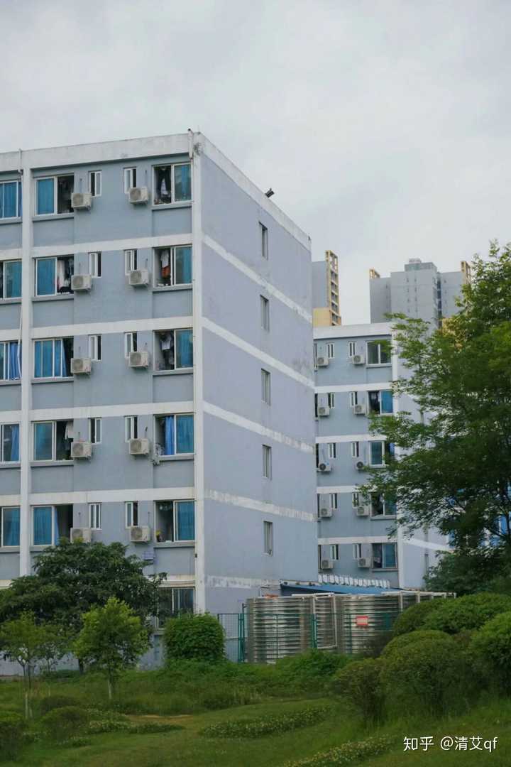 在四川旅游学院读书是一种什么体验?