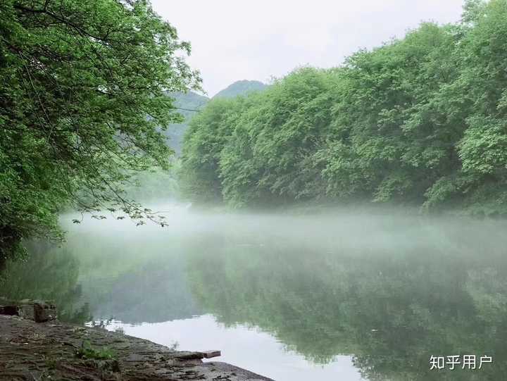 今日春分,你的身边或相册里有没有很春天的景色可以分享?