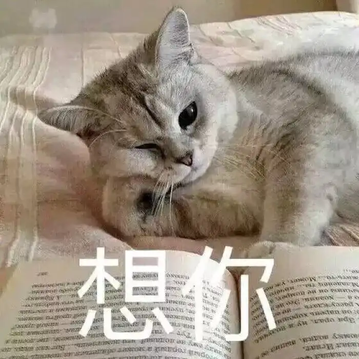 其实男生都很好哄的,乖乖的认个怂,就算他表面生气,心里早就原谅你啦