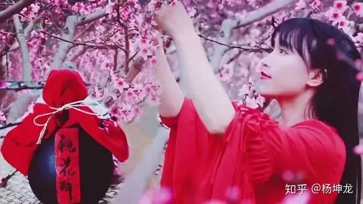 李子柒:桃花酒