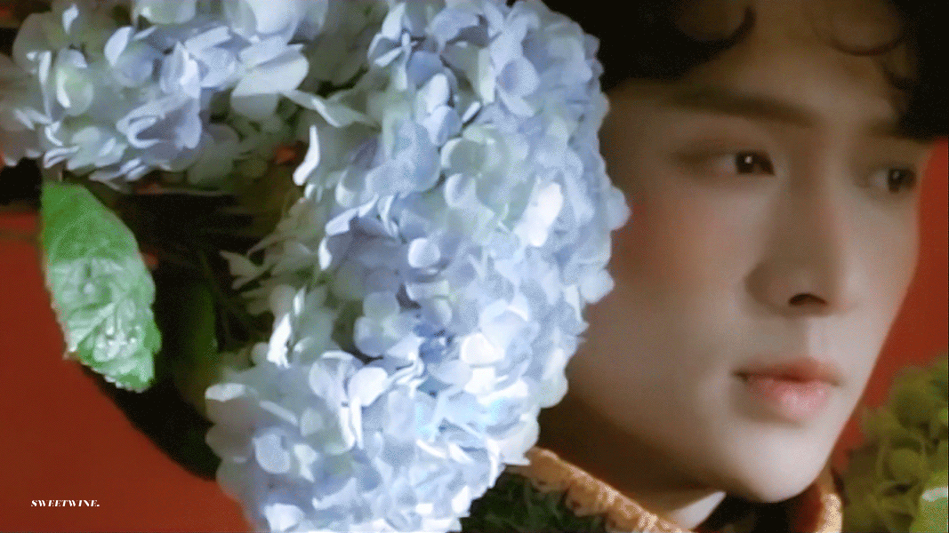 不小心把我的欢欢带出来了 酒窝永远在,甜党永不败!