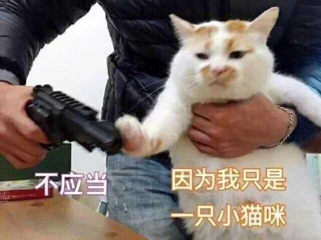 的一只猫,虽然17年10月离开这个世界了,但很开心还有人喜欢它的表情图