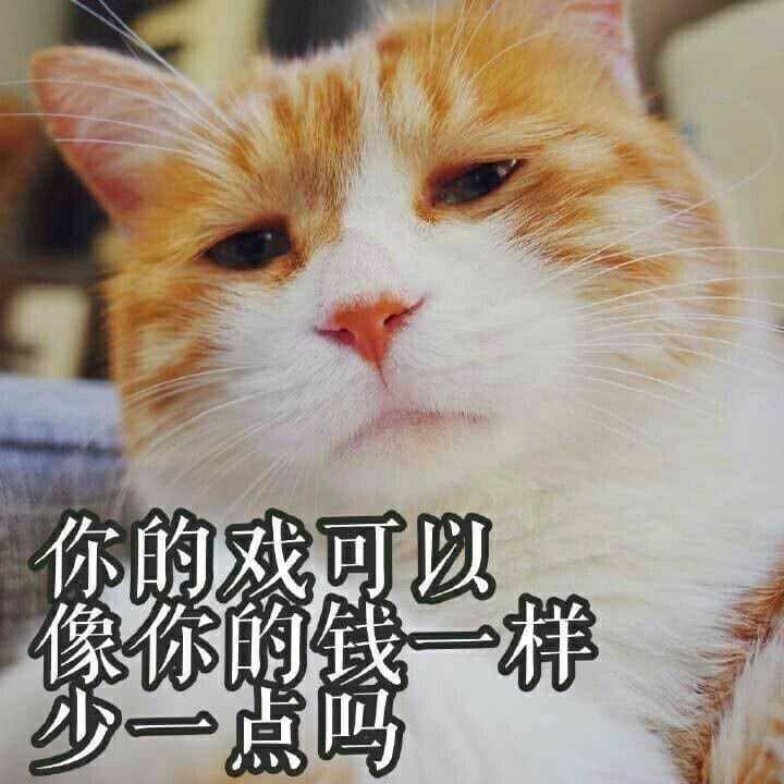 为什么很多知乎用户喜欢使用猫咪的表情包