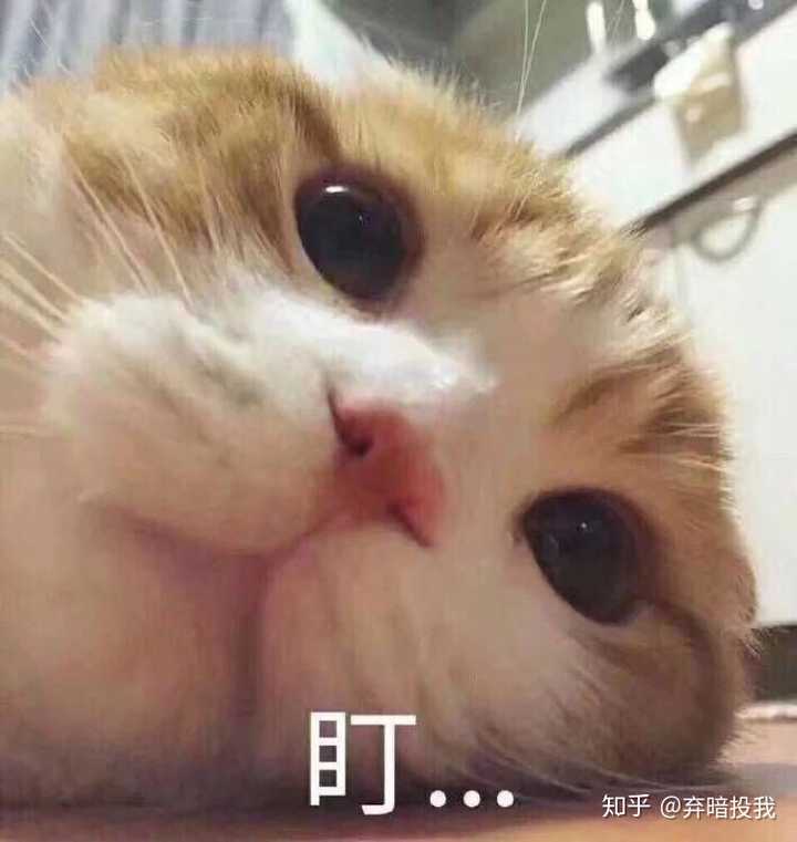 有哪些让你眼前戏一亮的表情包?