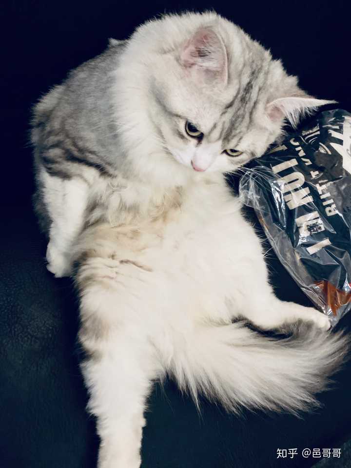 退下吧,朕乏了