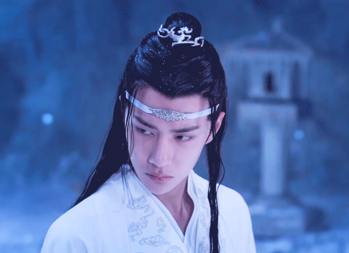 你觉得《陈情令》已播出的这几集,好看吗?