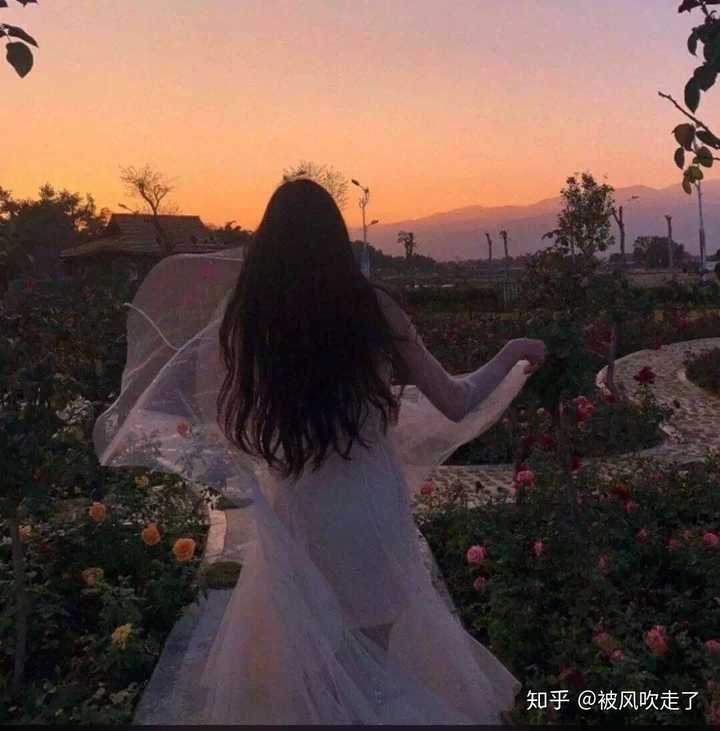 大家有哪些好看的背景图和头像?