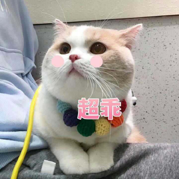 有没有什么可爱的微信头像?