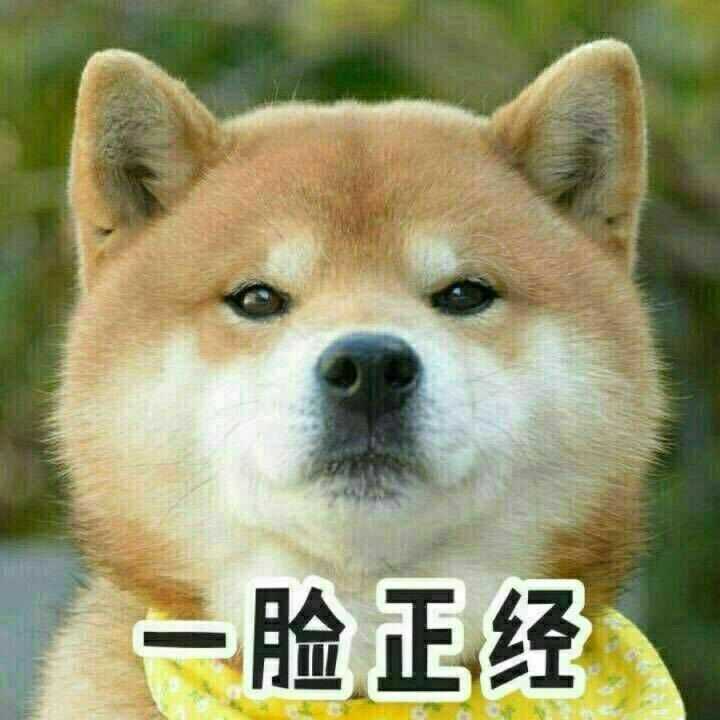 但是我自己内心其实是打消了某些念头的      "-ω )此处省略一千字