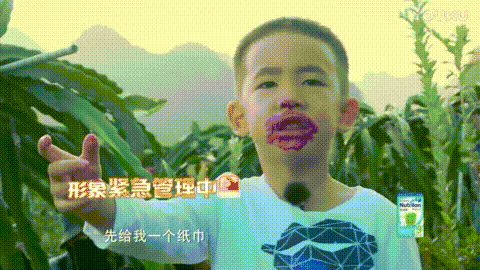 来看看陈皮小朋友: 奶呼呼的火龙果贪吃皮