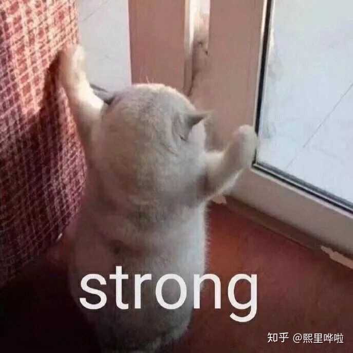 求头像不要真人的,太弱智?