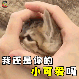 有什么套路男朋友的表情包?