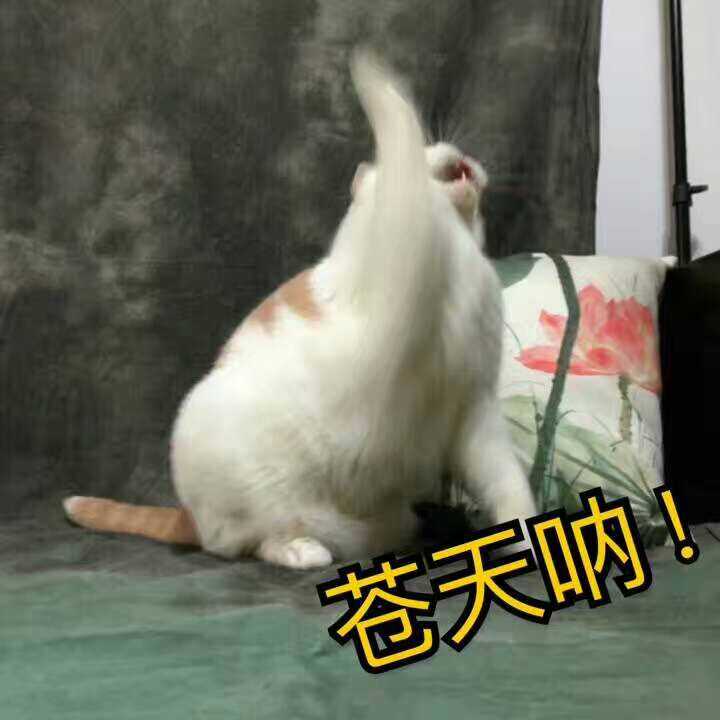 说说你生命中的"见鬼"时刻?