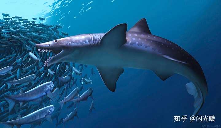 剪齿鲨metriorhynchus,石炭纪