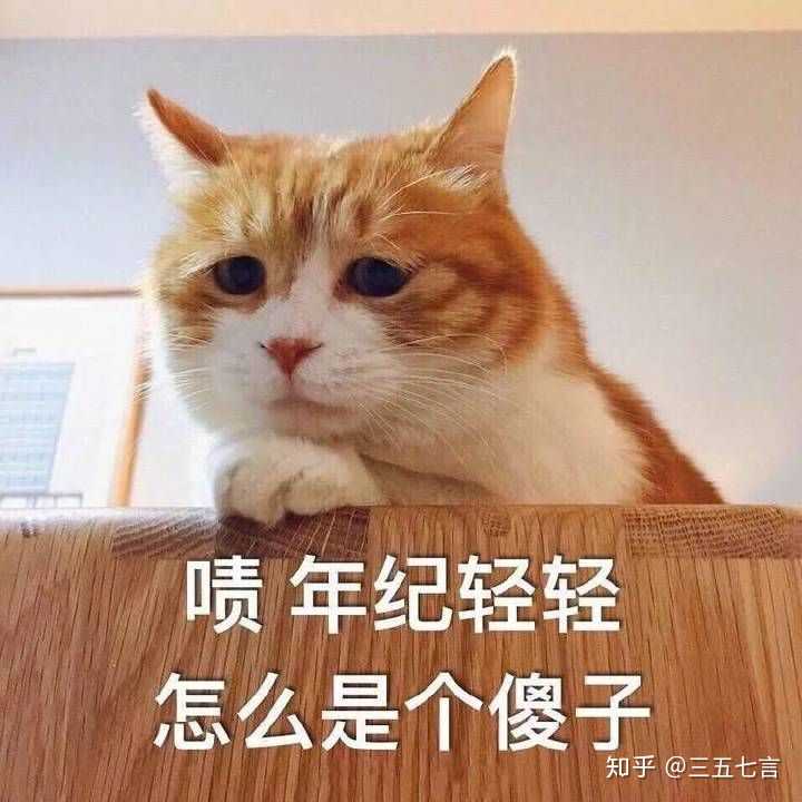 intp的人有什么特点?