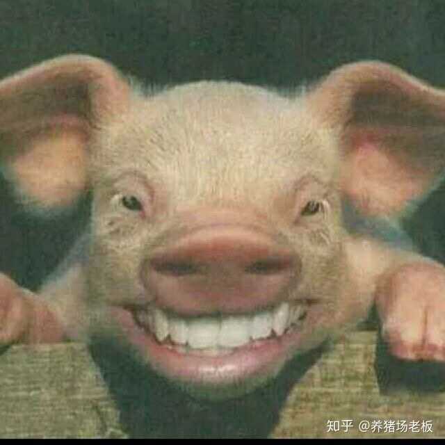 有没有很土或者特别的微信头像和签名看到第一眼就不想加的那种?