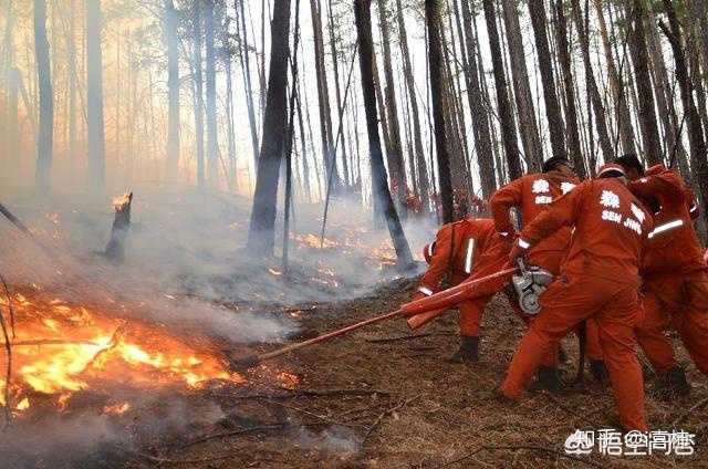 四川凉山森林大火致 31人遇难,森林失火后果有多严重?如何预防与自救?