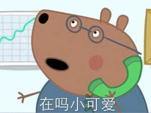 有哪些问女孩子在不在的表情包?