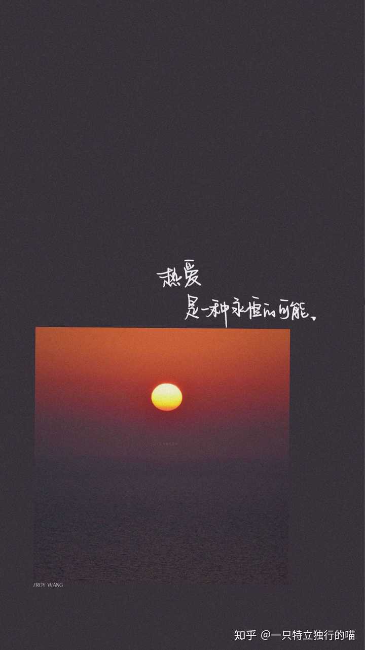 微信的聊天背景有哪些适用于深色模式?