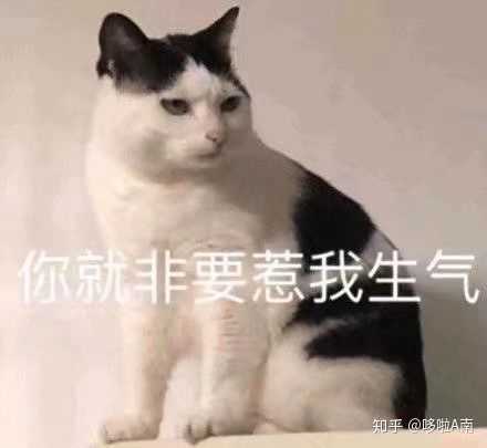 拐着弯骂我?