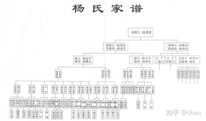 好好看这张图吧 本科室友家的家谱 到了他第七代 看看有多少不姓杨