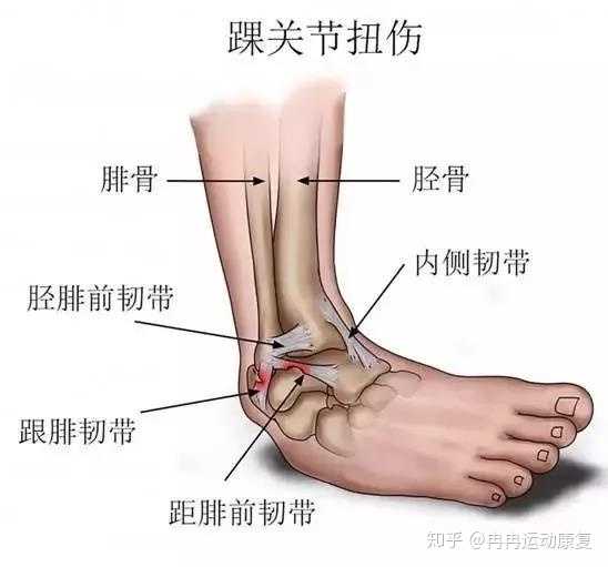 巴黎官方姆巴佩脚踝韧带受损伤缺3周基本无缘战亚特兰大