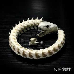 蛇骨怎么盘?