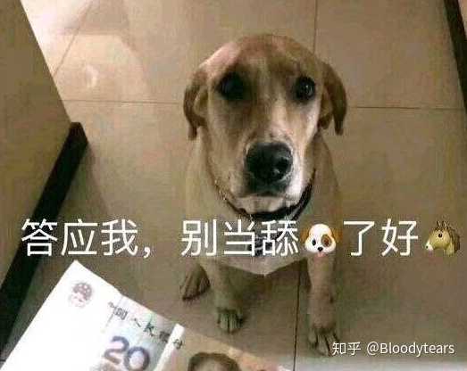 别当舔狗!真的!