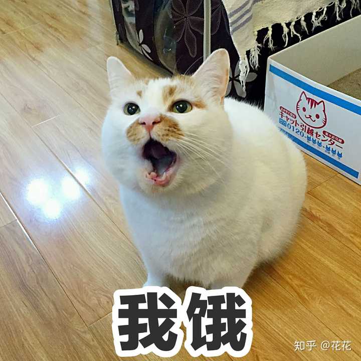 有没有什么让全场震惊的沙雕表情包?