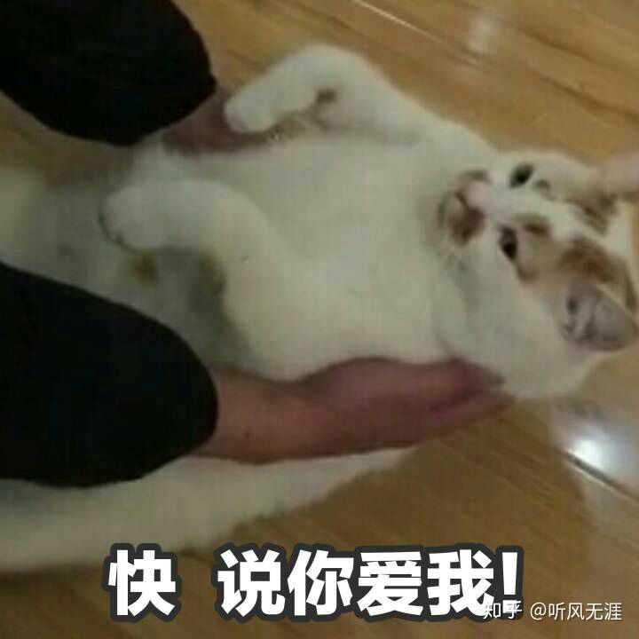 有没有给女朋友发的表情包?