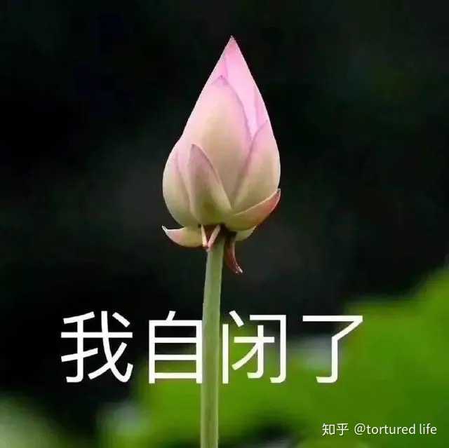 emmmm不做解释,懂得都懂