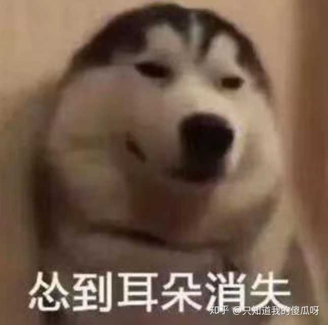 我每次教训他的时候他都会发这个表情包,我每次看到这个表情包都觉得