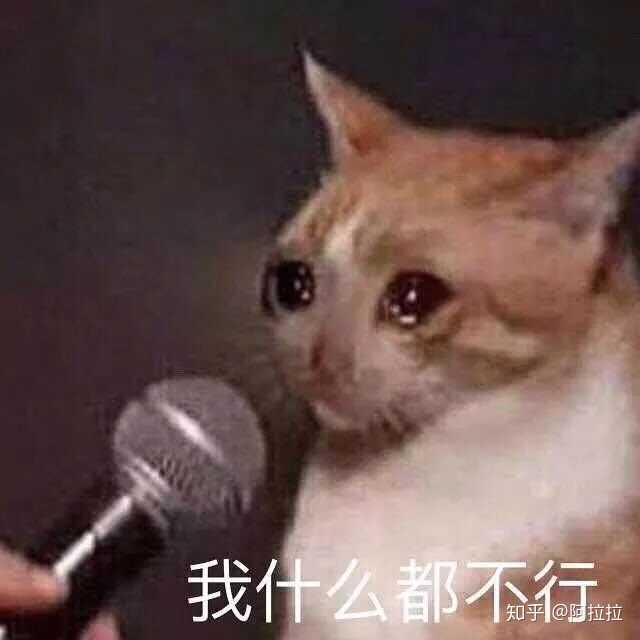 这种眼泪汪汪的猫猫表情包我怎么搜不到啊,好喜欢,可以跟我分享你们的