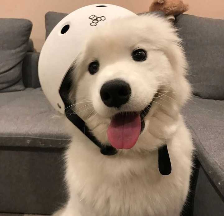 有什么一眼看上去就很舒服的头像?