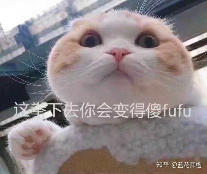 有哪些哄男朋友的可爱表情包?