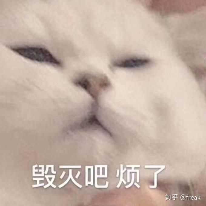 这怕不是个傻子