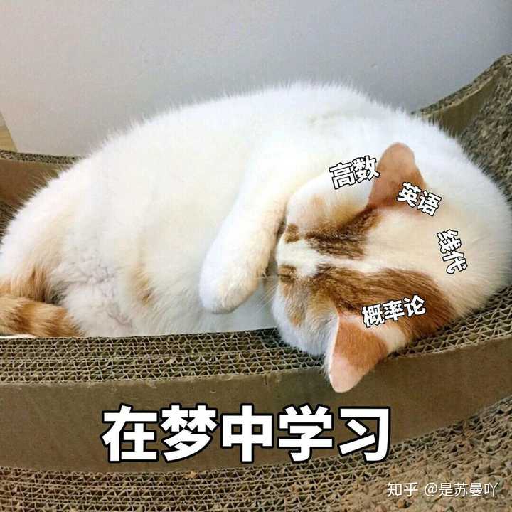 有没有什么吐槽高数的表情包