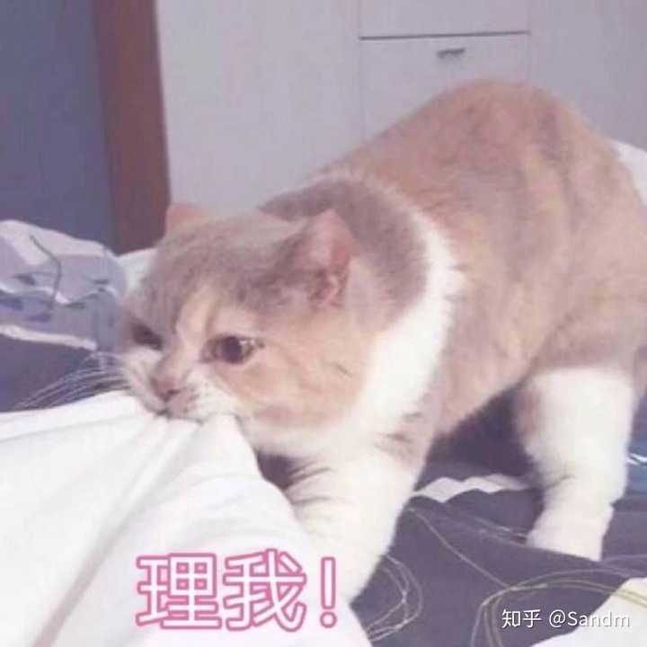 你有什么套路男朋友的表情包嘛