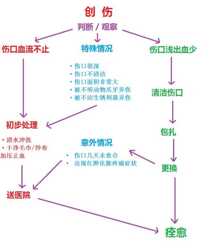 下面有一个丁香医生以前绘制的 外伤处理流程图,可以按照这个步骤来