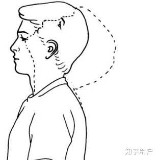 头部向后弯曲,然后回到开始部位维持3秒钟,重复10次 5. 耸肩