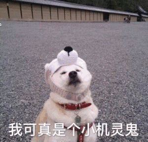 我可真是个小机灵鬼.