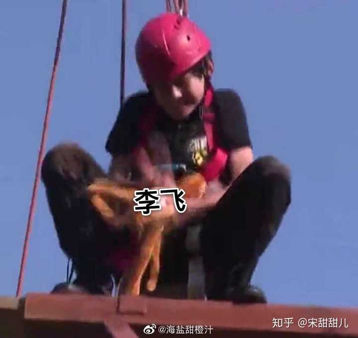 有哪些沙雕tnt时代少年团的表情包?