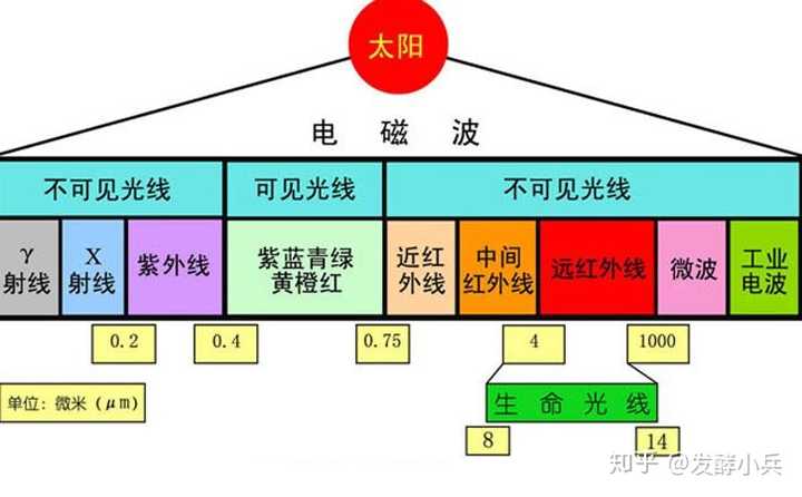 苦参碱的紫外全波长怎么测,要用什么显色剂呢?