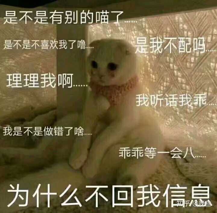 有哪些哄男朋友的可爱的表情包?