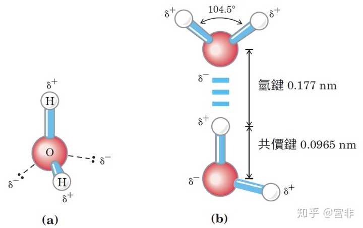 (b) 两水分子间的氢键比氢氧之间的共价键长且弱.