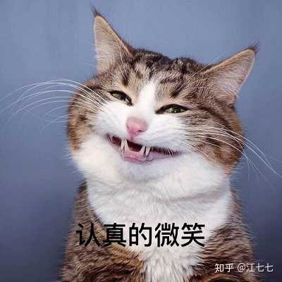 这个粉丝,可以用生无可恋来形容